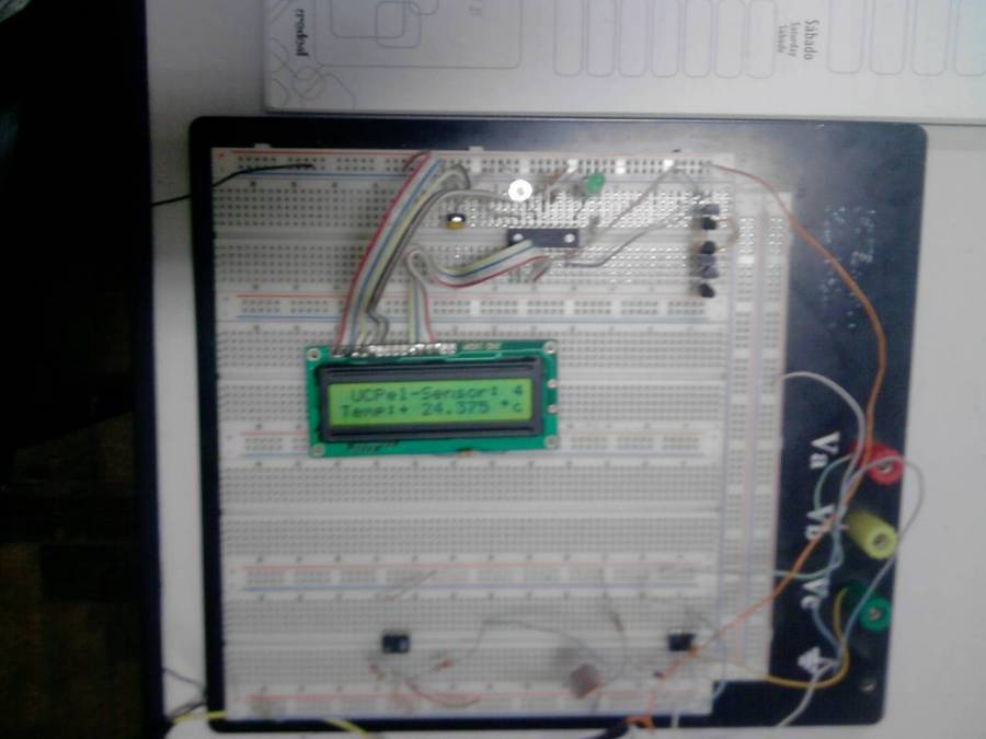 p250512_21.55.jpg
